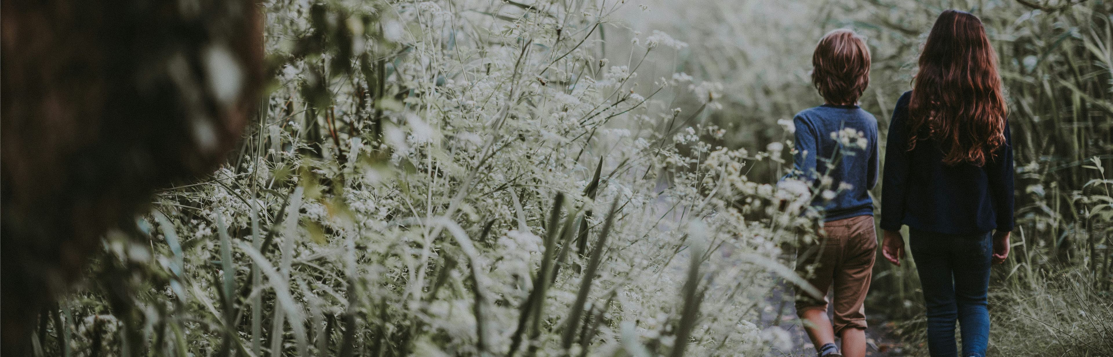 Amenities Background